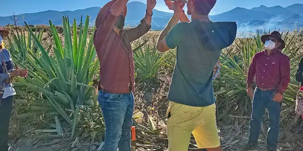 Experiencias auténticas